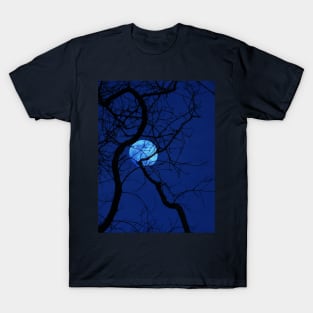 Bare Tree Branches and Full Moon T-Shirt